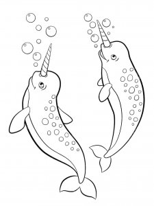 Narwhal coloring page 8 - Free printable