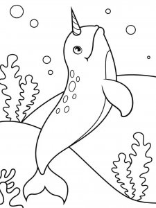 Narwhal coloring page 9 - Free printable