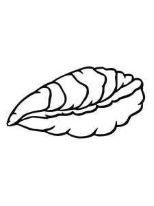 Oyster coloring page 4 - Free printable