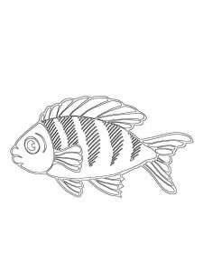 Perch coloring page 2 - Free printable