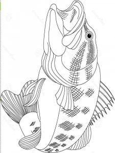 Perch coloring page 9 - Free printable