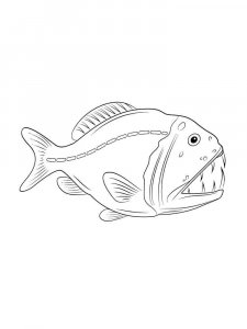 Piranha coloring page 11 - Free printable