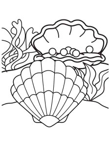 Scallop coloring page 10 - Free printable