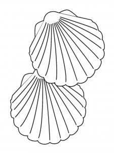 Scallop coloring page 11 - Free printable