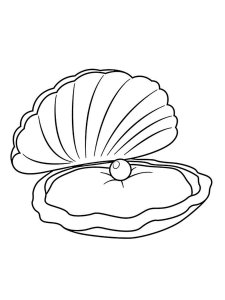 Scallop coloring page 2 - Free printable