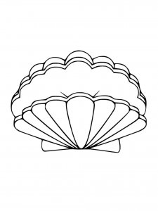 Scallop coloring page 9 - Free printable
