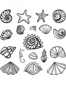 Seashell coloring page 13 - Free printable