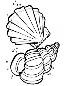 Seashell coloring page 20 - Free printable