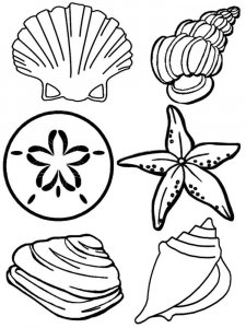 Seashell coloring page 21 - Free printable