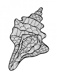 Seashell coloring page 4 - Free printable