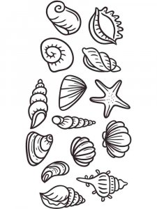 Seashell coloring page 5 - Free printable