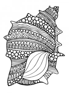 Seashell coloring page 7 - Free printable