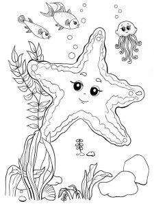 Starfish coloring page 15 - Free printable