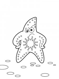 Starfish coloring page 22 - Free printable