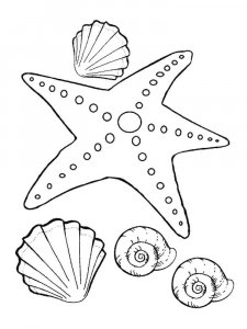 Starfish coloring page 27 - Free printable