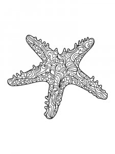 Starfish coloring page 31 - Free printable