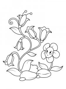 Bellflower coloring page 22 - Free printable