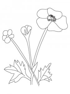 Buttercup coloring page 4 - Free printable