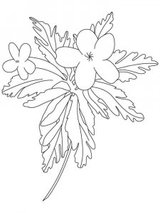 Buttercup coloring page 6 - Free printable