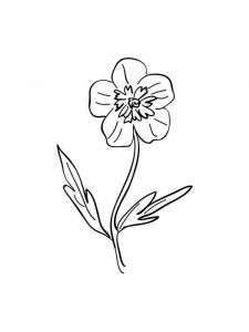 Buttercup coloring page 9 - Free printable