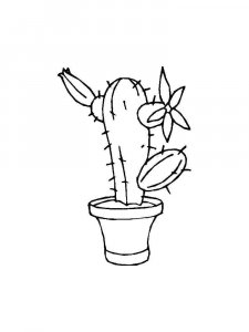 Cactus coloring page 10 - Free printable