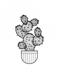 Cactus coloring page 17 - Free printable