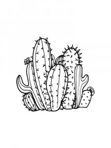 Cactus coloring page 2 - Free printable
