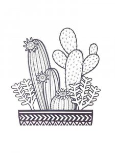 Cactus coloring page 20 - Free printable
