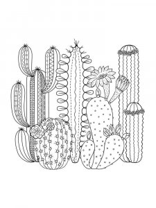 Cactus coloring page 29 - Free printable
