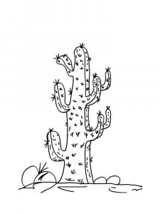 Cactus coloring page 3 - Free printable