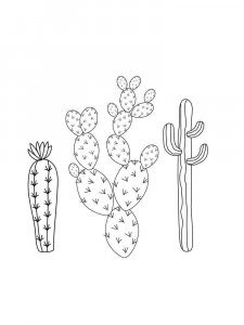Cactus coloring page 5 - Free printable