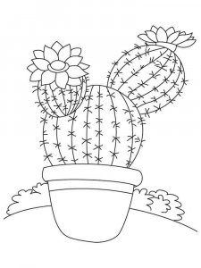 Cactus coloring page 40 - Free printable