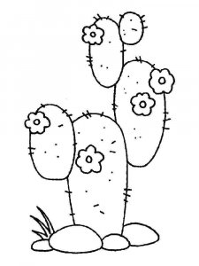 Cactus coloring page 43 - Free printable