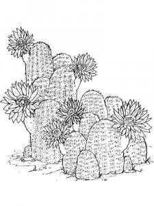 Cactus coloring page 44 - Free printable