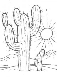 Cactus coloring page 32 - Free printable