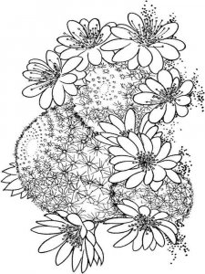 Cactus coloring page 33 - Free printable