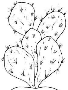 Cactus coloring page 35 - Free printable