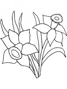 Daffodil coloring page 11 - Free printable