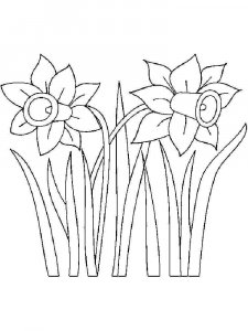 Daffodil coloring page 12 - Free printable