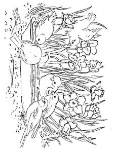 Daffodil coloring page 6 - Free printable