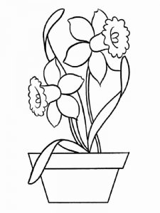 Daffodil coloring page 7 - Free printable