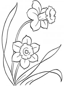 Daffodil coloring page 8 - Free printable