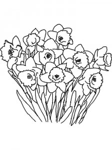 Daffodil coloring page 9 - Free printable