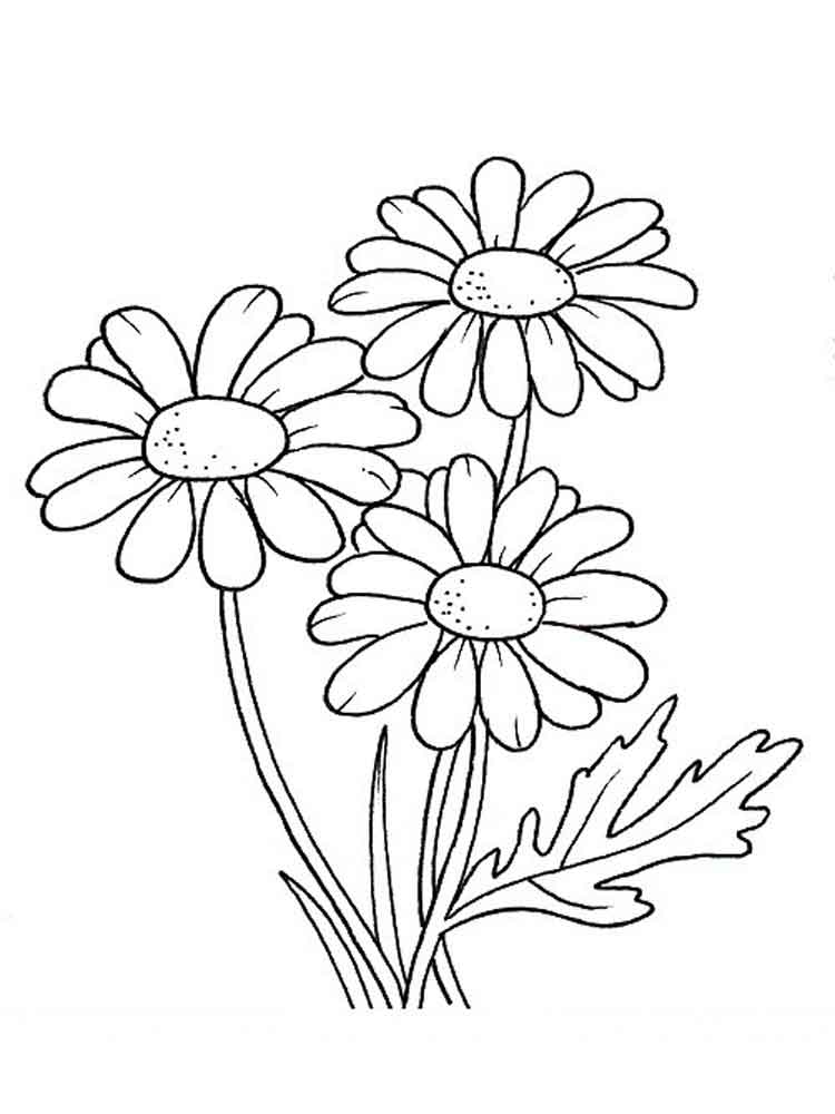 dasiy coloring pages - photo #5