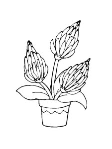 Flower Pot coloring page 12 - Free printable