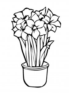 Flower Pot coloring page 15 - Free printable