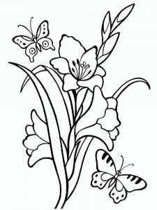 Gladiolus coloring page 4 - Free printable