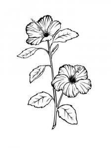Hibiscus coloring page 15 - Free printable