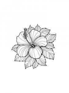 Hibiscus coloring page 19 - Free printable