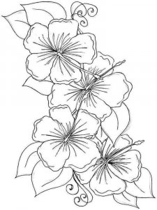 Hibiscus coloring page 1 - Free printable